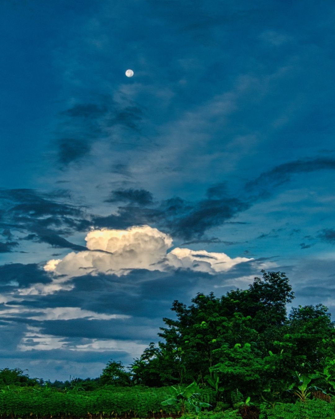 Letting Go of Emotional Weight: Gentle Ways to Release Past Experiences