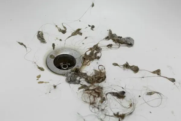 Hair and debris clogging a bathroom sink drain before professional cleaning