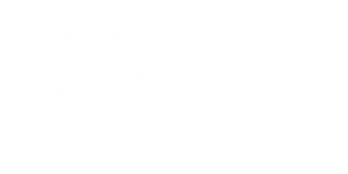 Real Estate Tax Lady