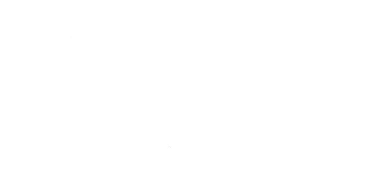 Real Estate Tax Lady