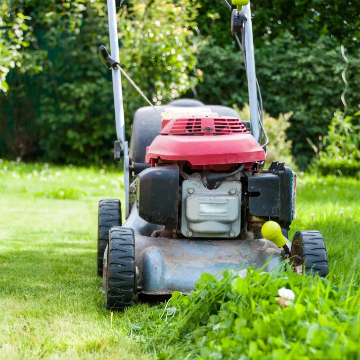 A professional landscaper using a mower to create a perfectly manicured lawn in Austin, Texas.