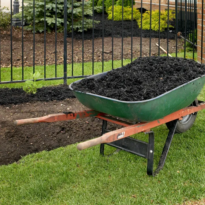 A freshly mulched flower bed in Austin, providing weed suppression, moisture retention, and a polished appearance.