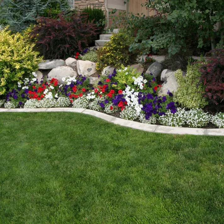 A beautifully landscaped backyard in Austin, featuring a lush lawn, colorful flower beds, and a stone patio.