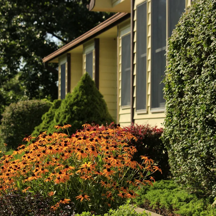 A team of landscapers carefully planting native shrubs and flowers in an Austin garden bed.