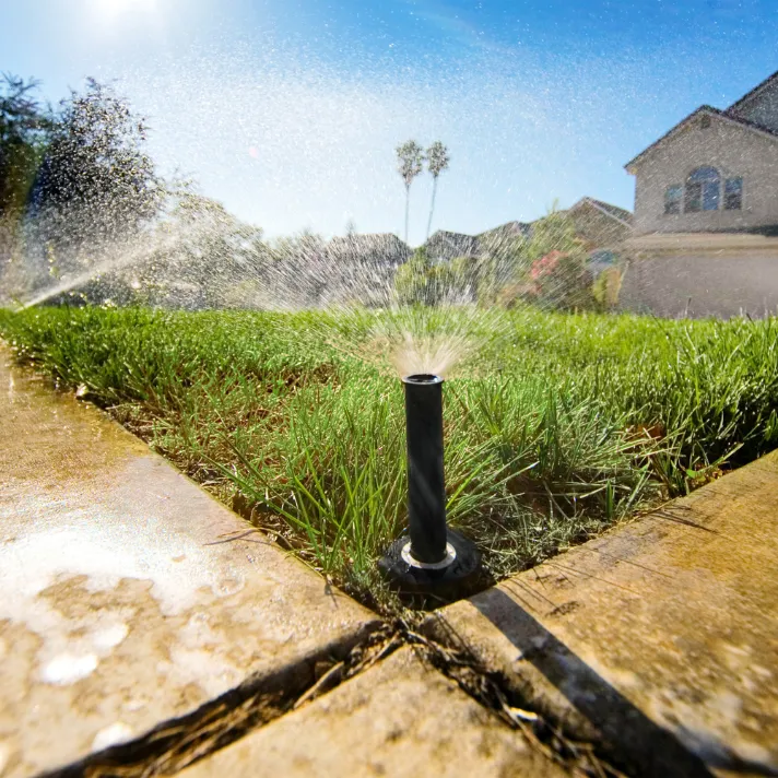 A technician adjusting a smart irrigation controller in Austin, ensuring efficient water usage and healthy plant growth.