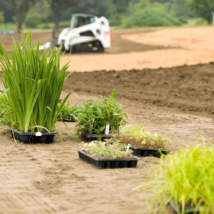 A drought-tolerant landscape in Austin featuring native plants, efficient irrigation, and water-saving features.