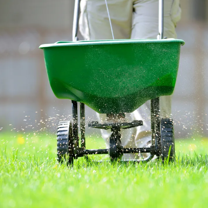 Gardener applying organic fertilizer to promote healthy plant growth in an eco-friendly landscape.