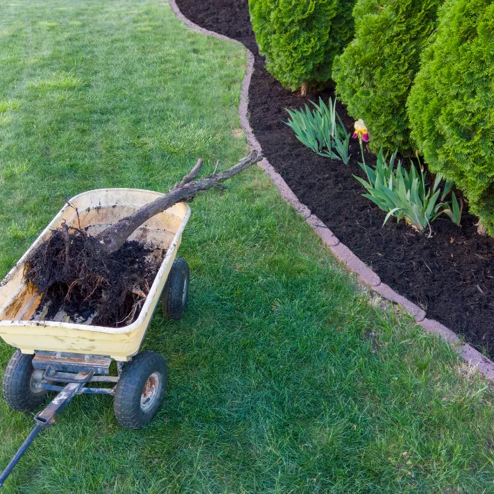 A gardener spreading compost and mulch around plants, enriching the soil and promoting sustainable landscaping practices in Austin.