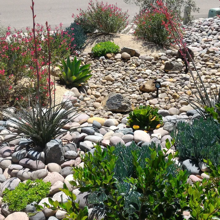 A beautifully landscaped dry creek bed in Austin, Texas, designed to manage rainwater runoff and conserve water.