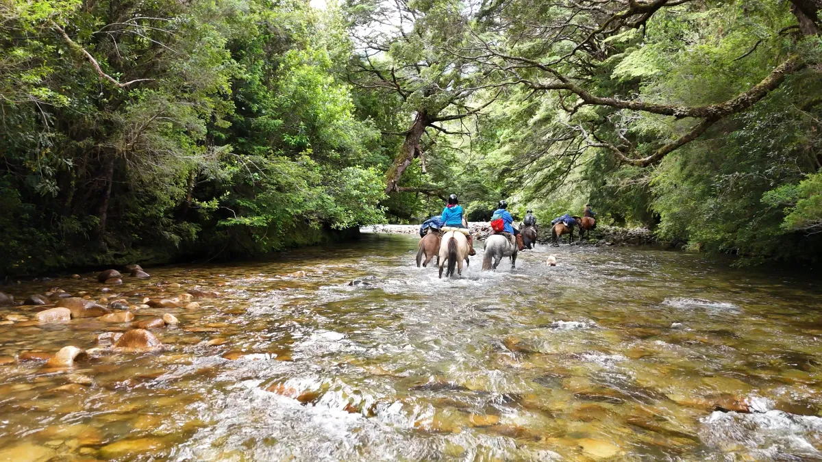 Cochamó Climbing & Trekking