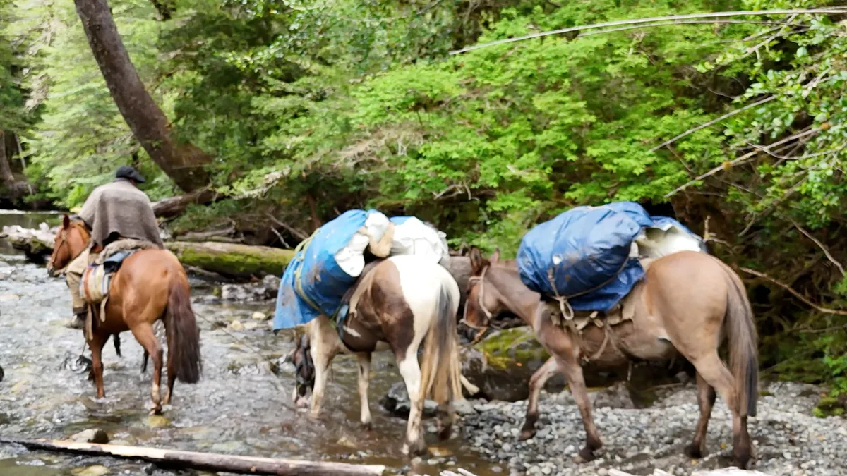 Andes Crossing