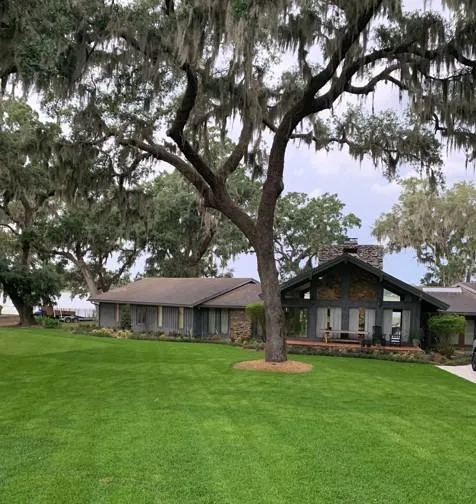 Wide, green lawn with tall mature trees and clear blue skies in Winter Haven FL