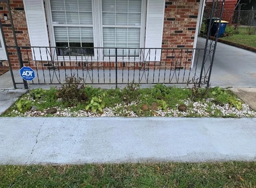 Planter bed with decorative rocks, small plants, in a landscaped yard