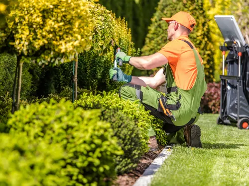 Landscaping in Warner Robins
