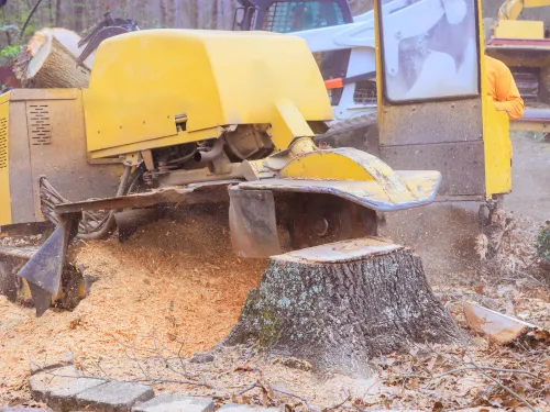 Stump Grinding in Warner Robins