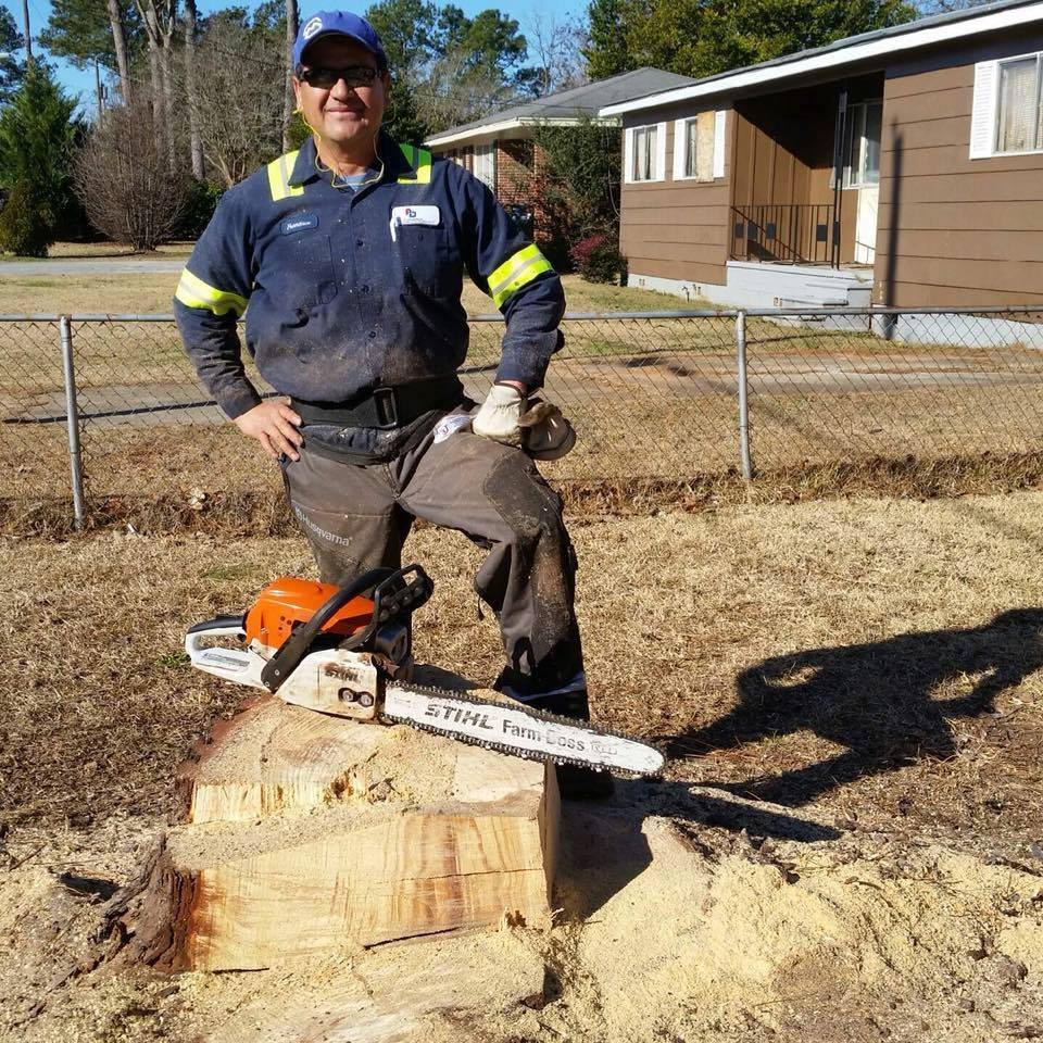 Landscaping and Tree Service Warner Robins