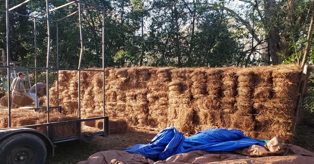 Landscaping Warner Robins