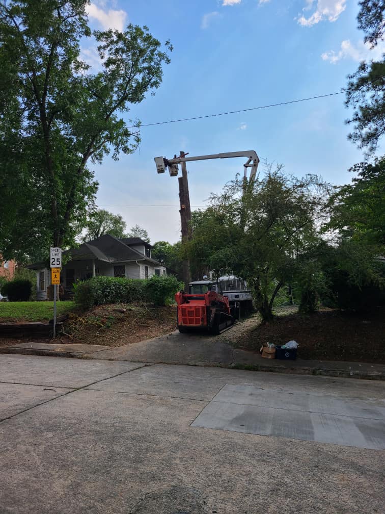 Land Clearing Warner Robins