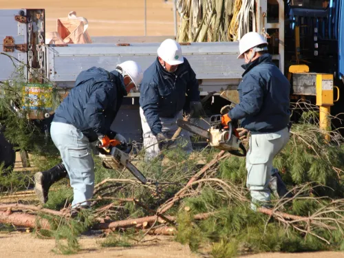 Centerville Tree Removal