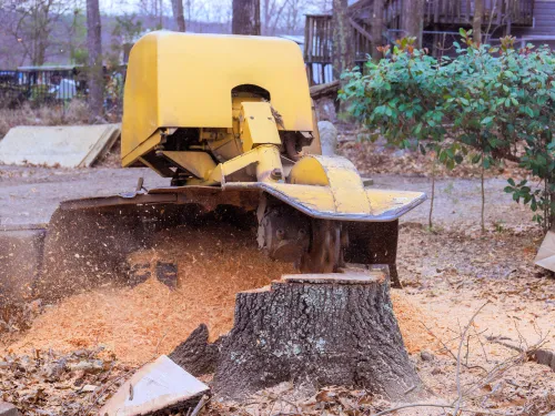 Fort Valley Stump Grinding