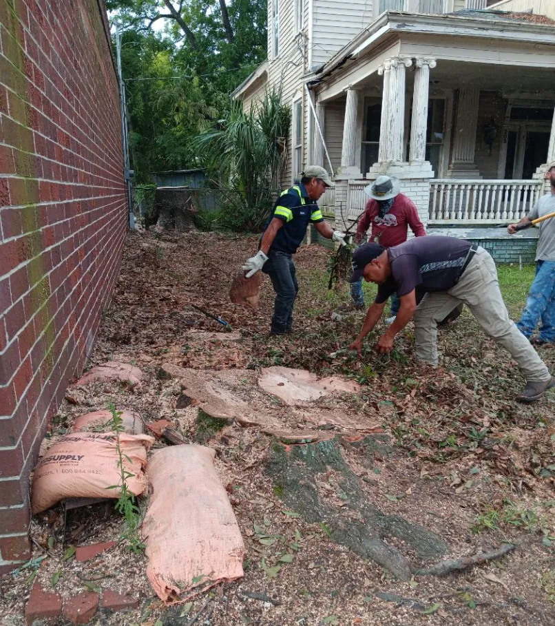 Warner Robins Land Clearing