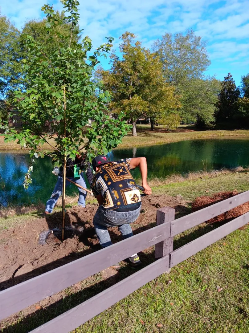 Debris Removal Warner Robins