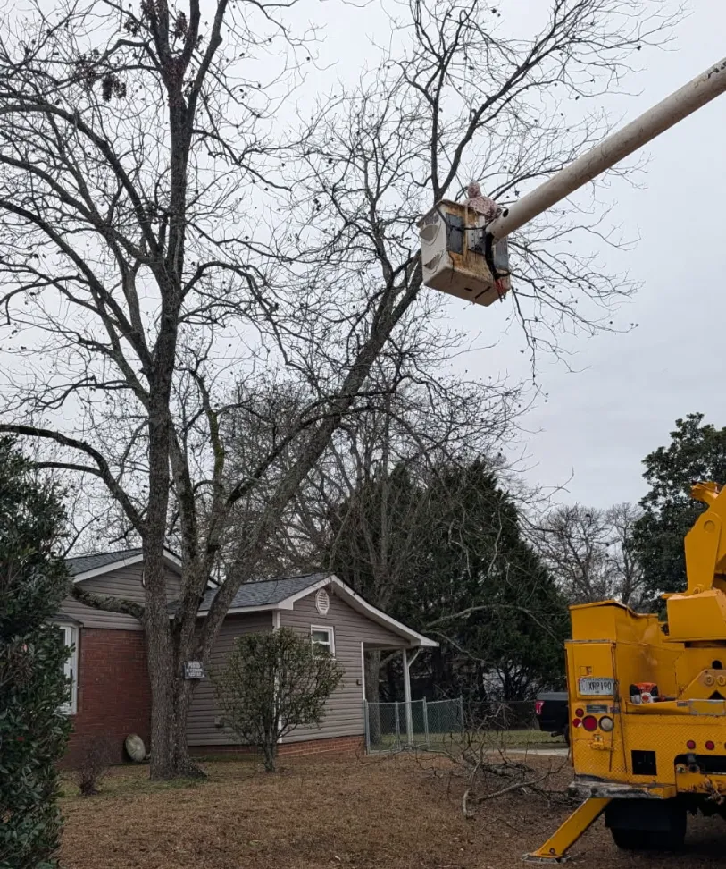 Hardscaping Warner Robins