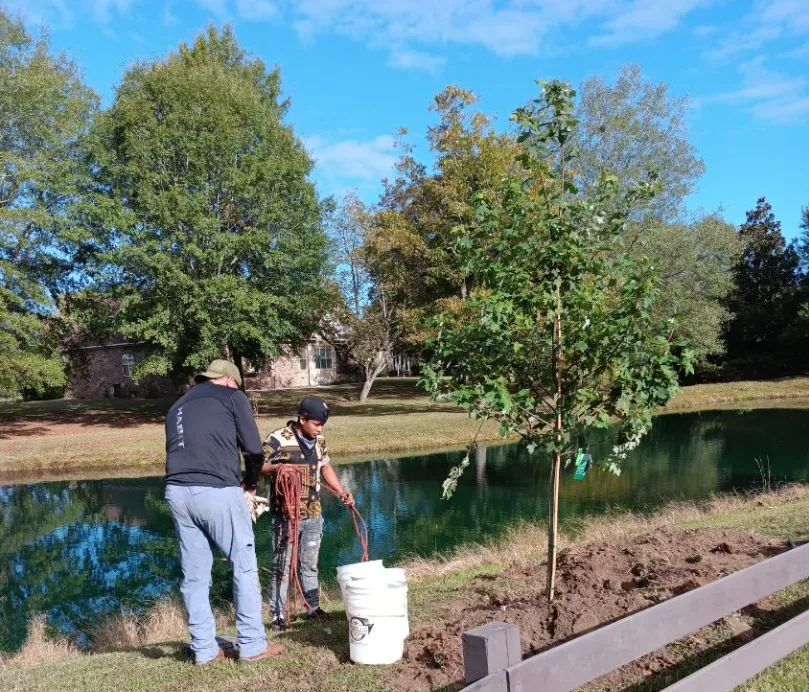 Tree Planting in Warner Robins