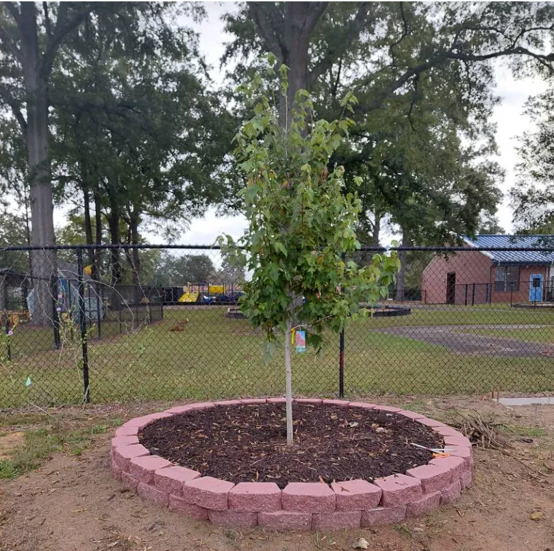 Landscaping Warner Robins