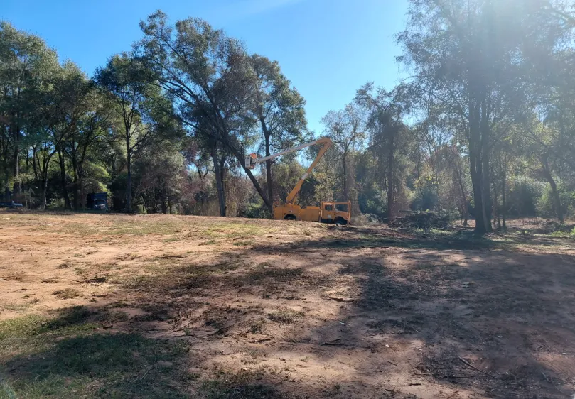 Centerville Stump Grinding
