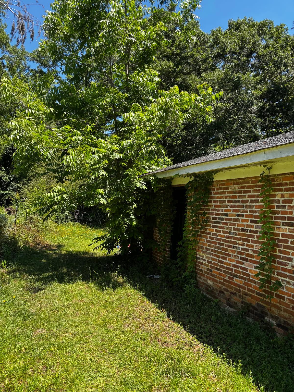 Stump Grinding Warner Robins