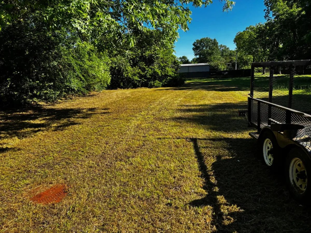 Land Clearing Warner Robins