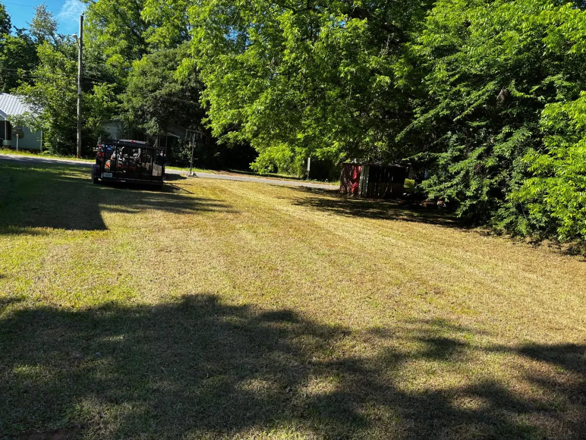 Stump Grinding Warner Robins