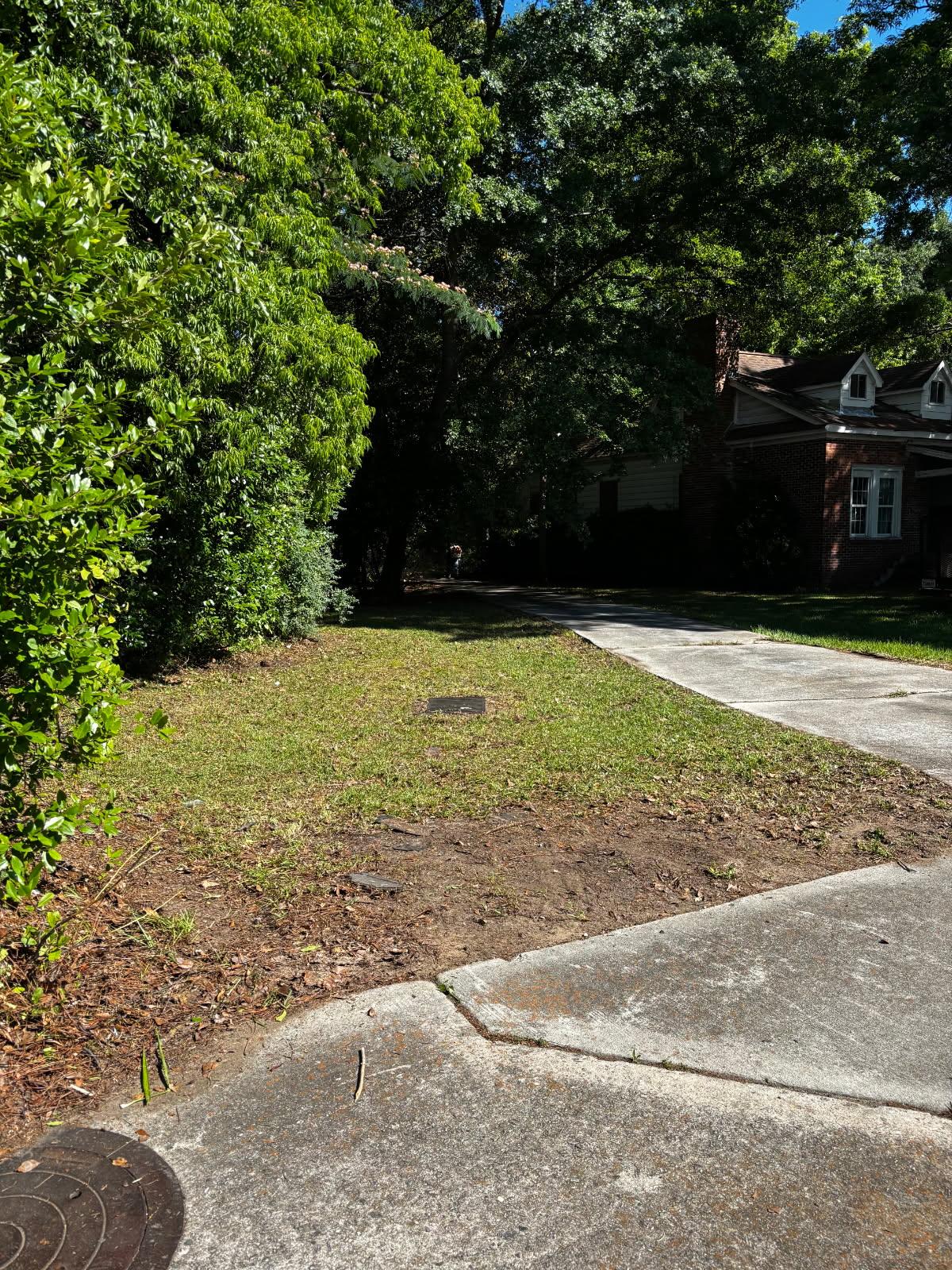 Tree Planting Warner Robins