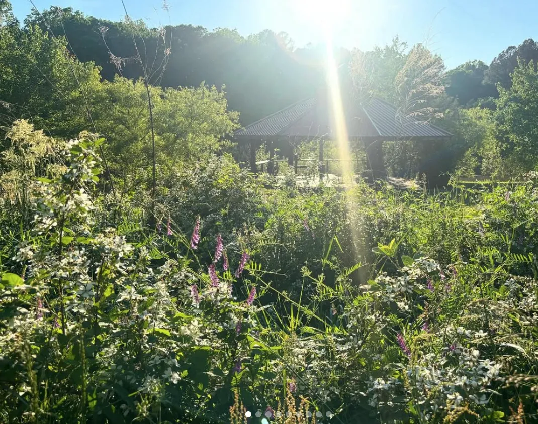 chapel hill wellness retreat women fun