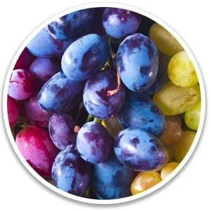 rangii natural ingredients
