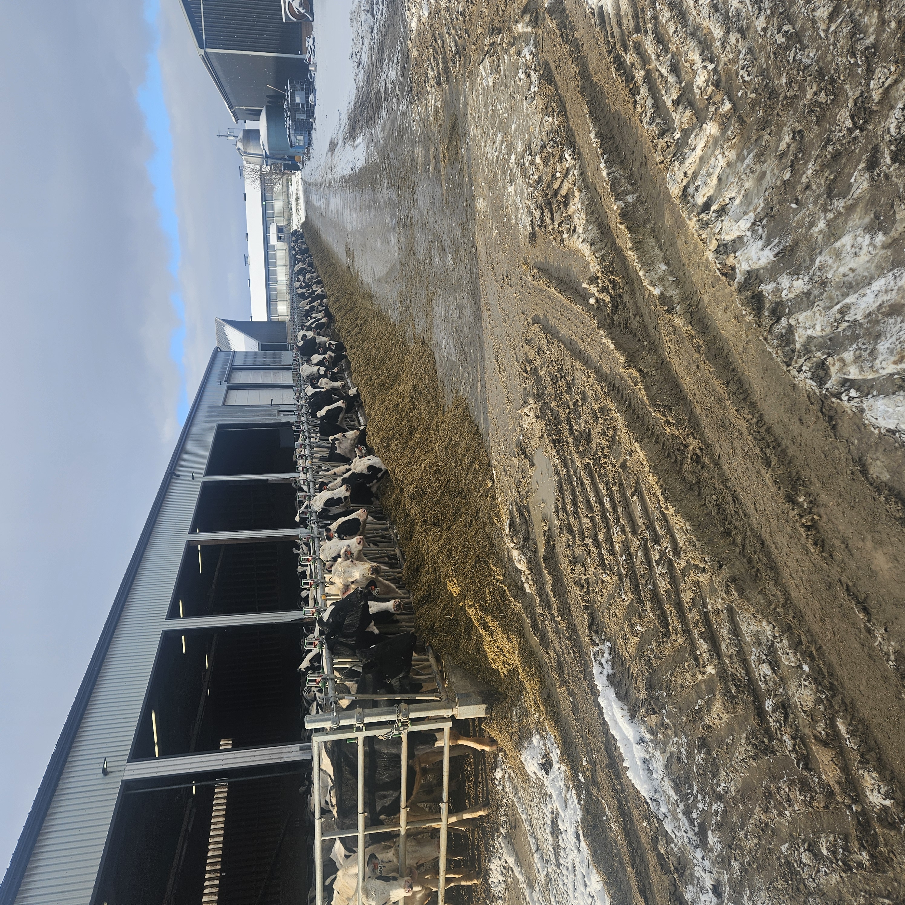 Modern stainless steel dairy processing equipment in a clean facility, with a technician monitoring fermentation tanks, natural light streaming in, and a focus on innovation and hygiene.