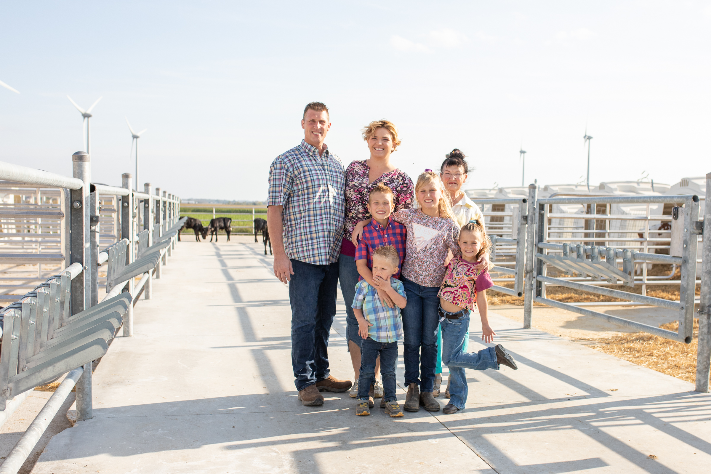 Aerial view of Rosegaar Dairy's lush green pastures with cows grazing, modern barn structures, and a sunrise over rural Ontario, captured in a vibrant, naturalistic style.