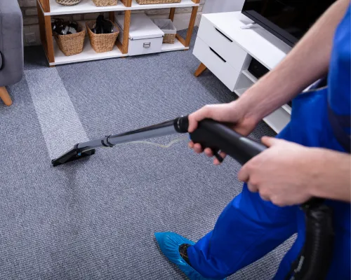 Carpet Cleaning in Jeffersonville