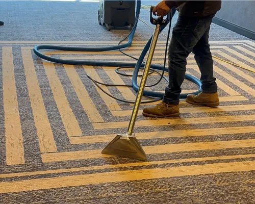 Philadelphia Carpet Cleaning