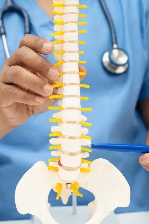 Chiropractic Tallahassee