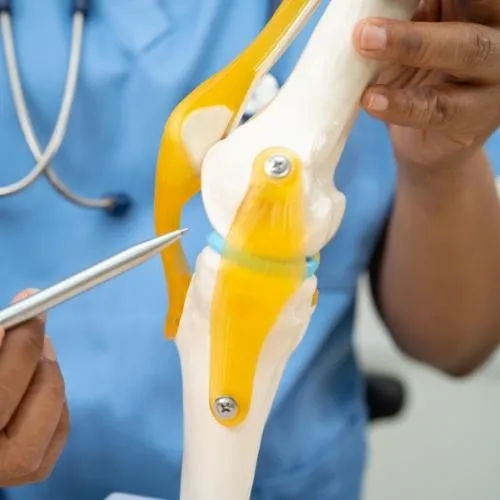 Chiropractic Tallahassee