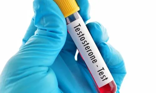 Chiropractic Tallahassee