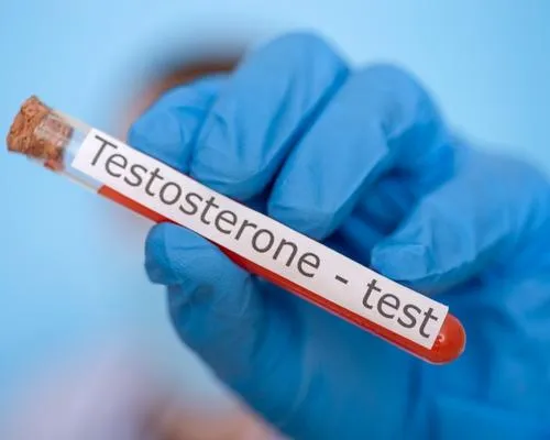 Chiropractic Tallahassee