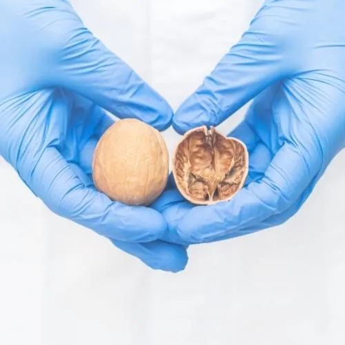 Chiropractic Tallahassee