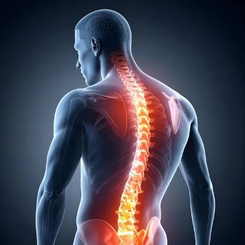 Chiropractic Tallahassee