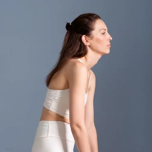 Chiropractic Tallahassee