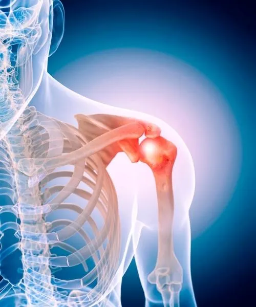 Chiropractic Tallahassee