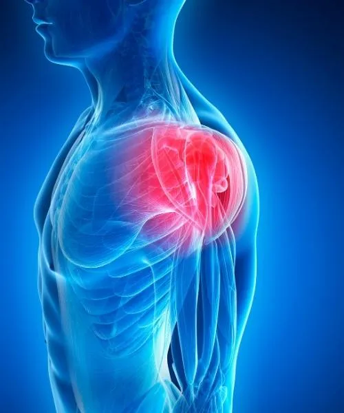 Chiropractic Tallahassee