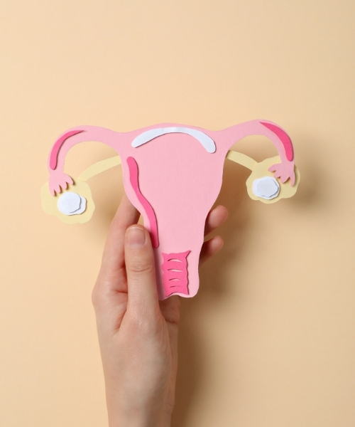 Chiropractic Tallahassee